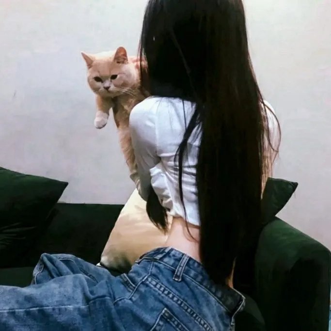刀剑笑新传之花魁